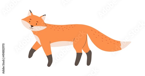 Cute red fox with black paws and fluffy tail. Happy smiling animal character with friendly face. Childish flat cartoon vector illustration isolated on white background