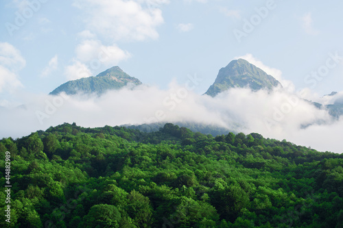mountains above the clouds and green trees in the summer sunny day 
