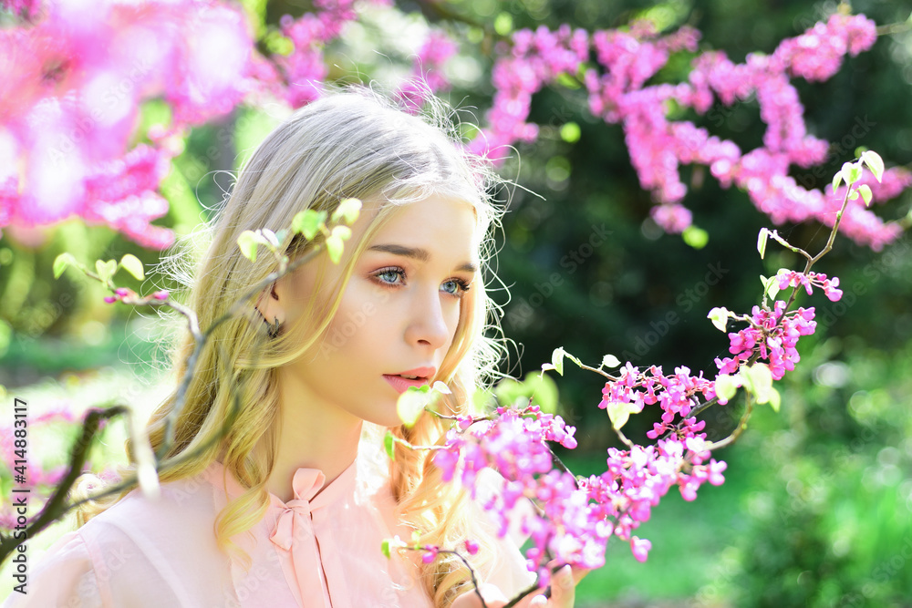 Fototapeta premium Girl on dreamy face. Tender woman near violet flowers of judas tree, nature background. Lady walks in park on sunny spring day.