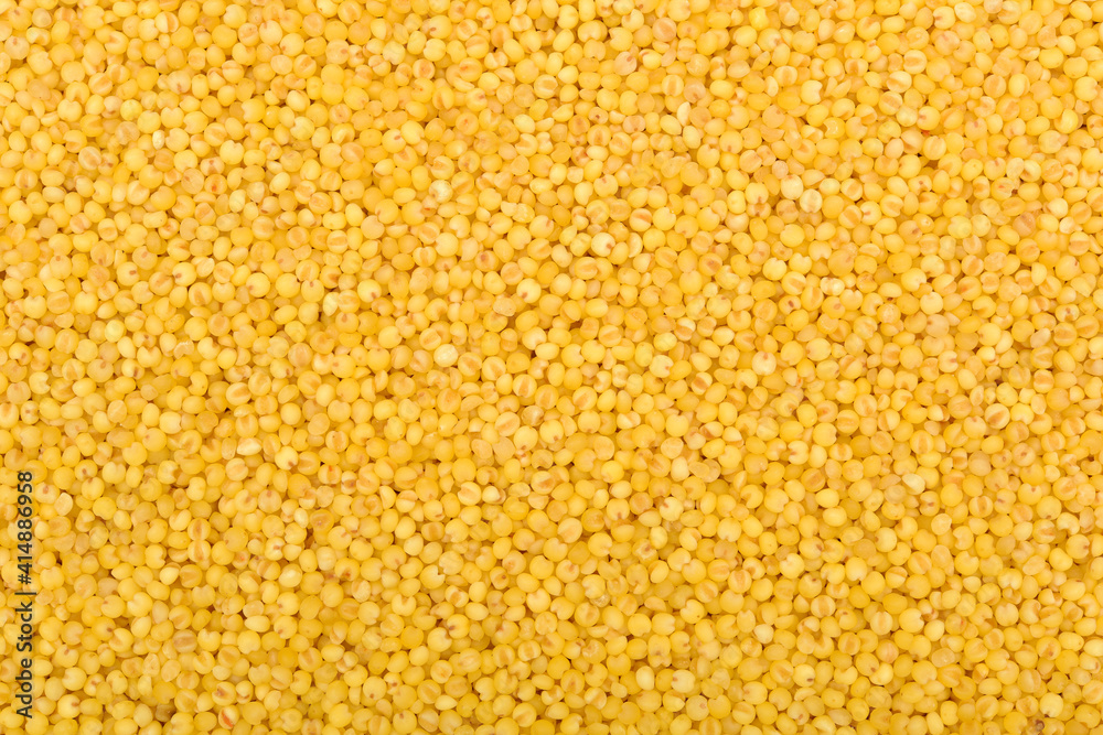 Millet yellow background