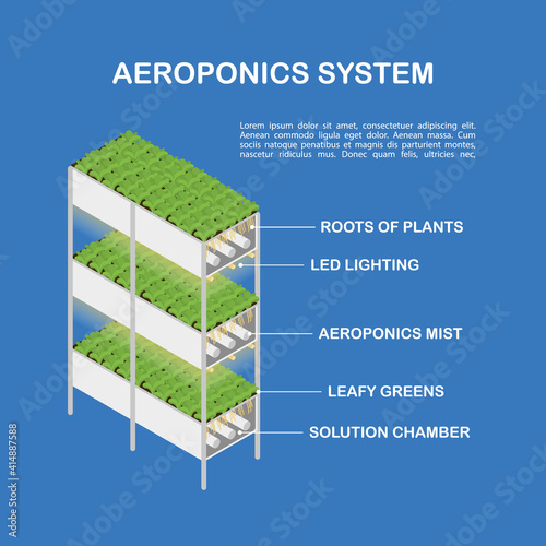 Diagram of the aeroponic setup for vertical cultivation. Isometric illustration, infographics.