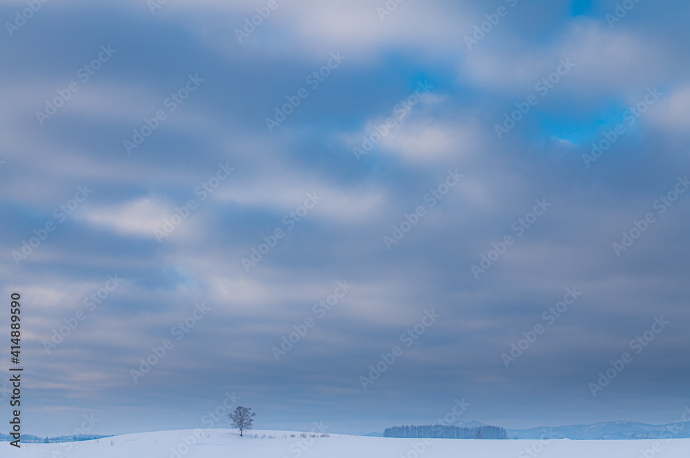 冬美瑛朝靄の向こうの風景
