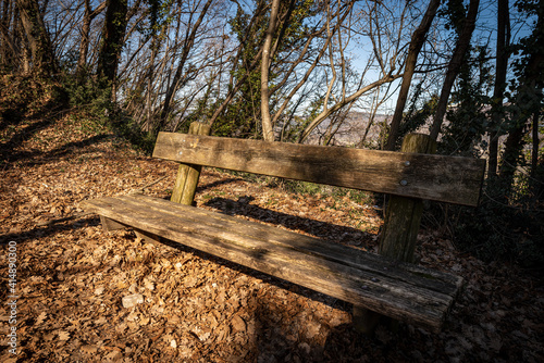 Closeup of an empty rustic wooden bench in the winter forest along a footpath. Rocca di Garda  Garda  Lake Garda  Verona province  Veneto  Italy  Europe.