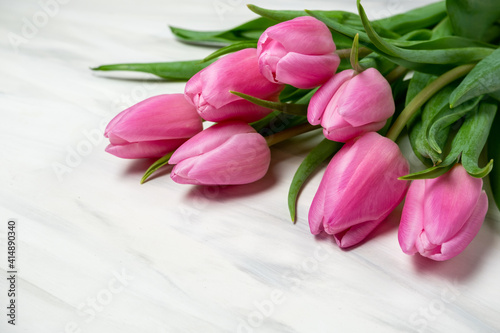 Fototapeta Naklejka Na Ścianę i Meble -  Pink tulips flower background. top view copy space. greeting card valentine's day birthday March 8 mother's day