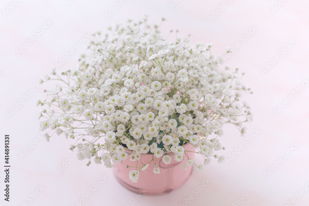 bunch of blooming gypsophila in round shape