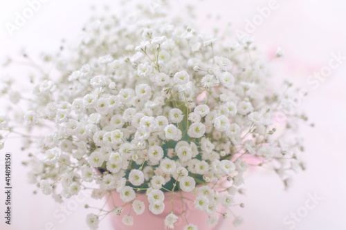 bunch of blooming gypsophila in round shape