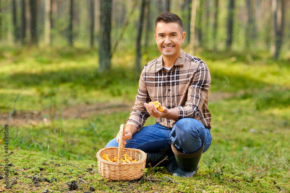 picking season and leisure people concept - happy smiling middle aged man with wicker basket and mushrooms in autumn forest picking season and leisure people concept - happy smiling middle aged man with wicker basket and mushrooms in autumn forest