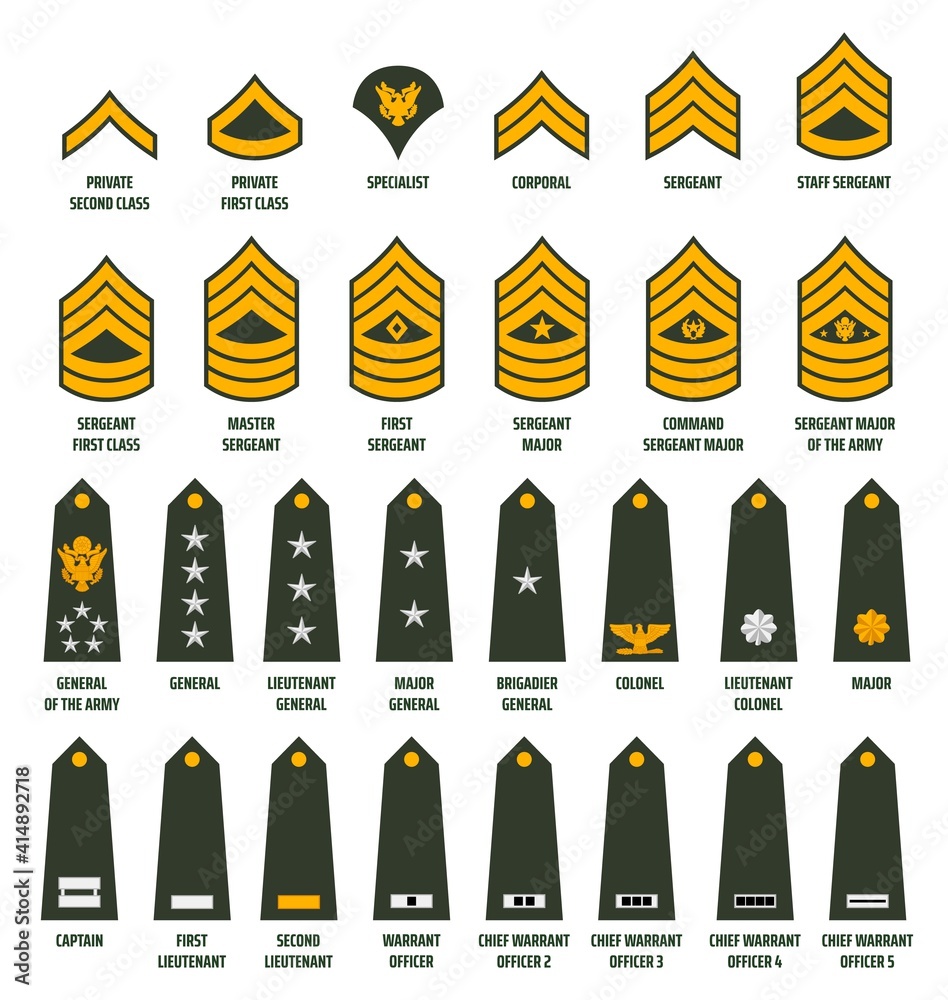 Naklejka Us Army Enlisted Ranks Chevrons And Insignia America Military