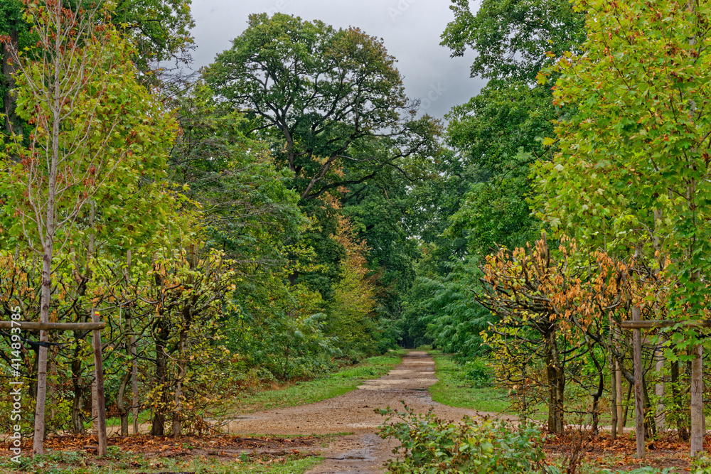forêt de sénart
forêt de sénart