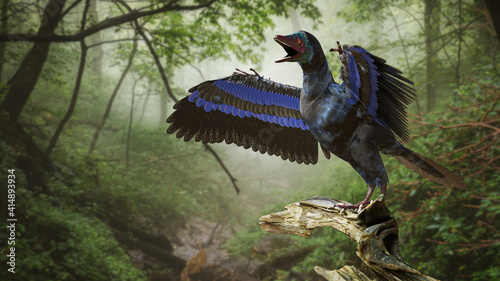 Archaeopteryx, bird-like dinosaur from the Late Jurassic period around 150 million years ago © dottedyeti