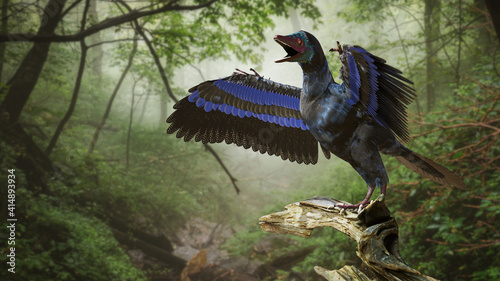 Fototapeta Naklejka Na Ścianę i Meble -  Archaeopteryx, bird-like dinosaur from the Late Jurassic period around 150 million years ago