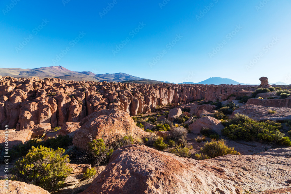 Andes in Bolivia