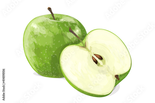 Green apple with half isolated on white background. Vector illustration