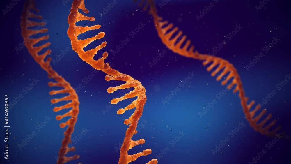 3d render animation of Single strand ribonucleic acid. RNA research and therapy.