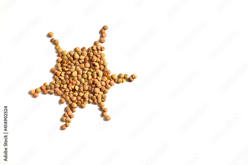 Lentils on a white background Lentils on a white background
