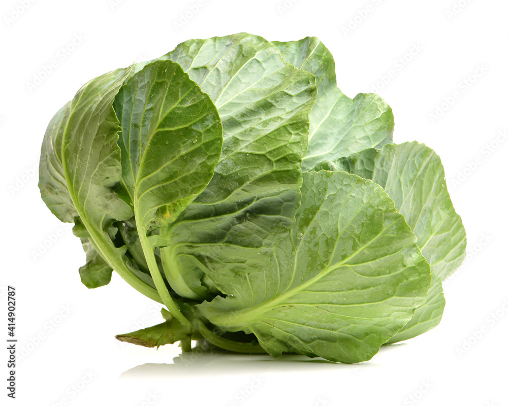 Cut cabbage on white background Cut cabbage on white background