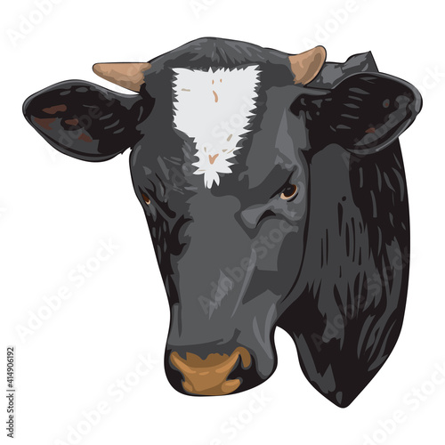 Cow head vector illustration.