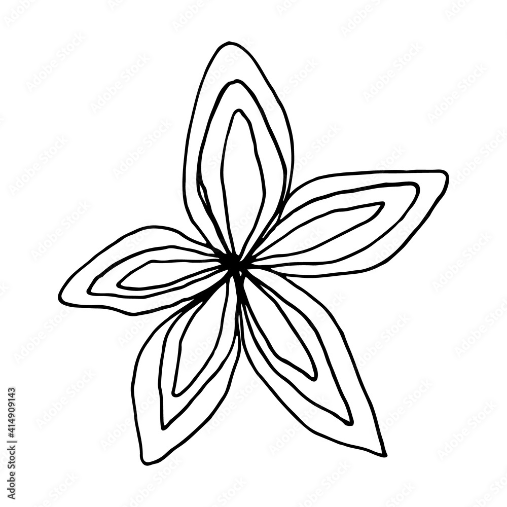 Abstract vector flower line drawing. Black and white hand illustration Abstract vector flower line drawing. Black and white hand illustration