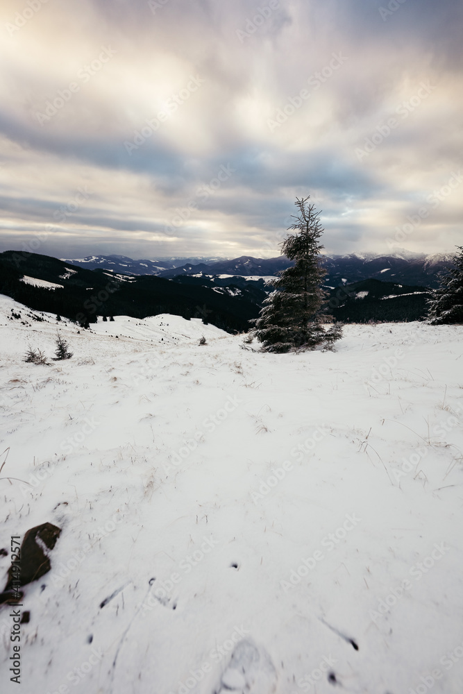 Fototapeta premium A snow covered slope in snow a mountain