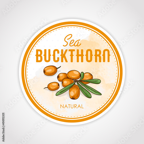 Vector round label of berry on watercolor background, sea buckthorn