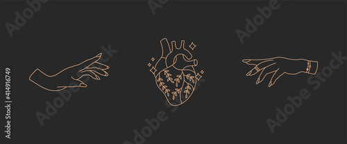 Boho hands and heart with flowers, line art set, witchcraft objects simple gold line, bohemian vintage mystic symbols and elements, black background. Modern trendy vector illustration in doodle style