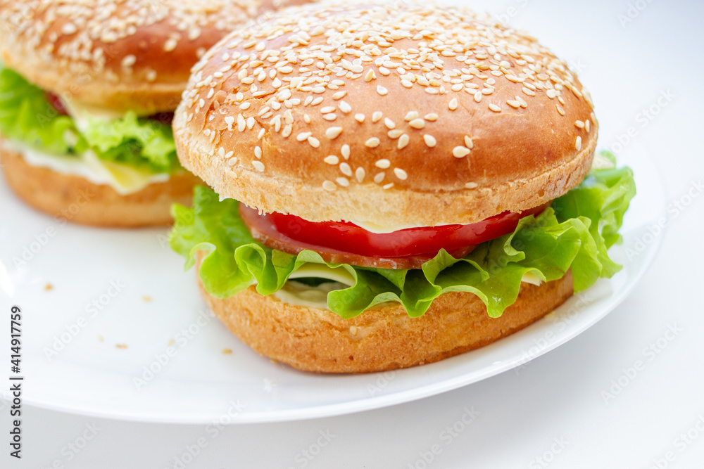 Burger with vegetables and sauce. Closeup of home made sandwich on white plate Burger with vegetables and sauce. Closeup of home made sandwich on white plate