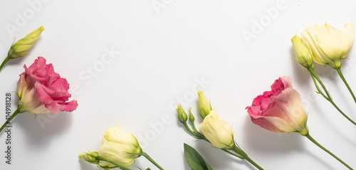 Fototapeta Naklejka Na Ścianę i Meble -  Delicate pink, lilas and cream eustomas isolated on white background. Banner. Floral frame and Copy space. Mother's day and Women's day concept