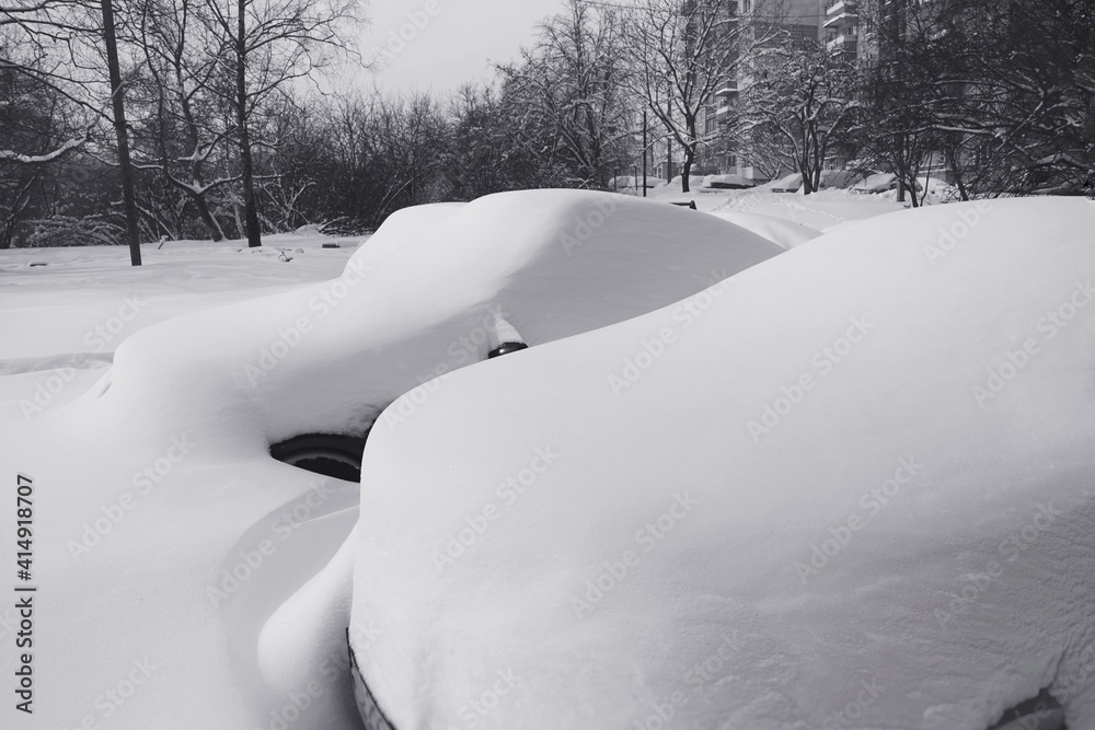 Cars covered in snow on a winter day