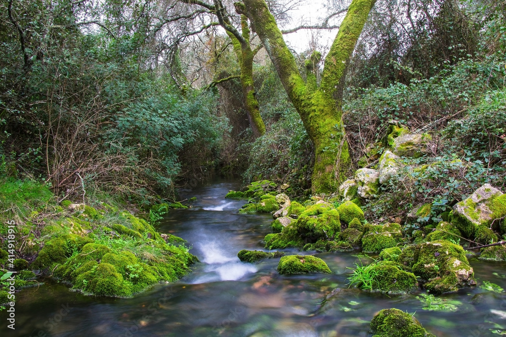 River in the forest of Beselga, Portugal. Forest with moss covered rocks and trees with river stream River in the forest of Beselga, Portugal. Forest with moss covered rocks and trees with river stream