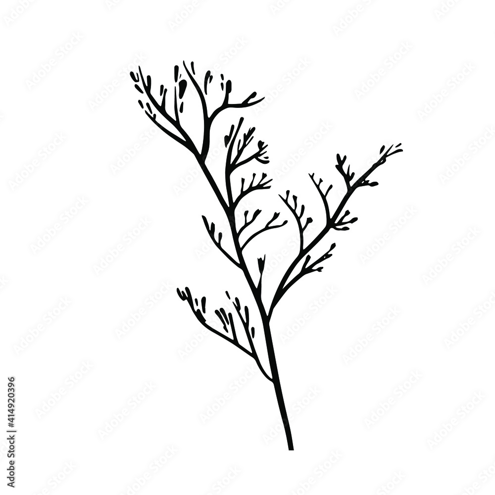 Leaves drawing with line-art on white backgrounds.