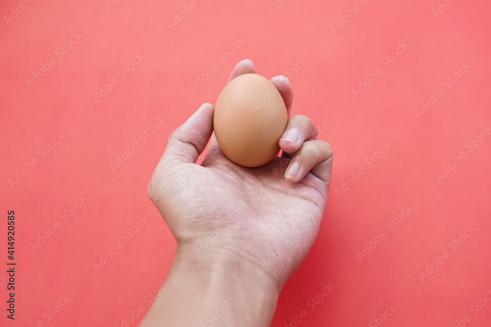 Hand holding grains of chicken egg isolated on pink background. Perfect mix of hand skin tones, egg tones and backgrounds. The hand that holds a future. Reach out to give chicken eggs. Hand holding grains of chicken egg isolated on pink background. Perfect mix of hand skin tones, egg tones and backgrounds. The hand that holds a future. Reach out to give chicken eggs.