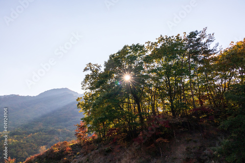 The sun seen through the trees in the mountains