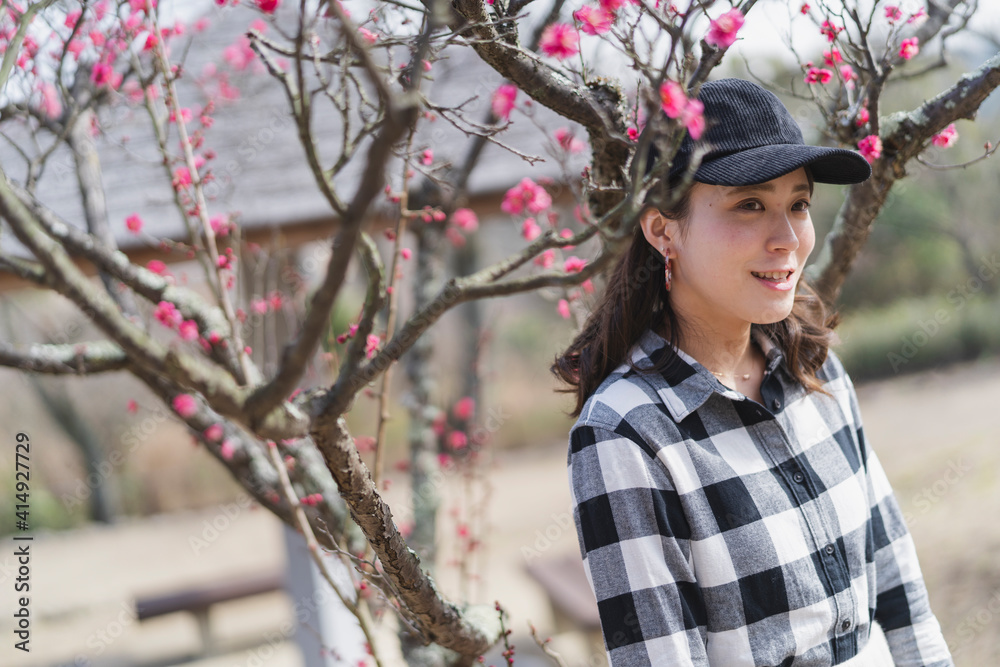 梅の花を鑑賞する女性 梅の花を鑑賞する女性