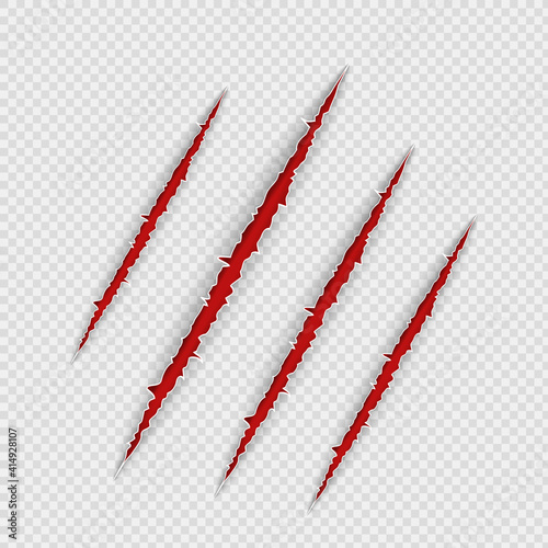 Claw scratches isolated on transparent background. Realistic scary danger claw marks, symbol of monster paw with blood. Vector illustration of red torn slashes left by tiger, lion or bear