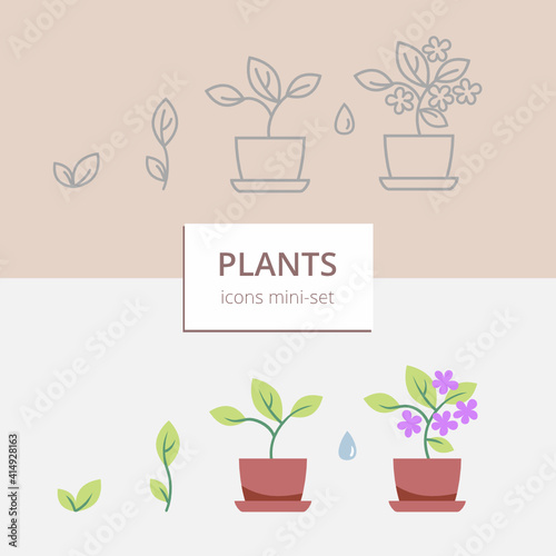 Plant icons - a small set of simple images in color and outline. Suitable for decoration, infographics, ecology concepts, for demonstrating plant growth process, etc.