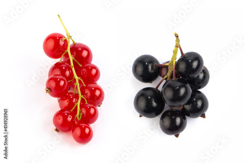 Black and red currant in studio