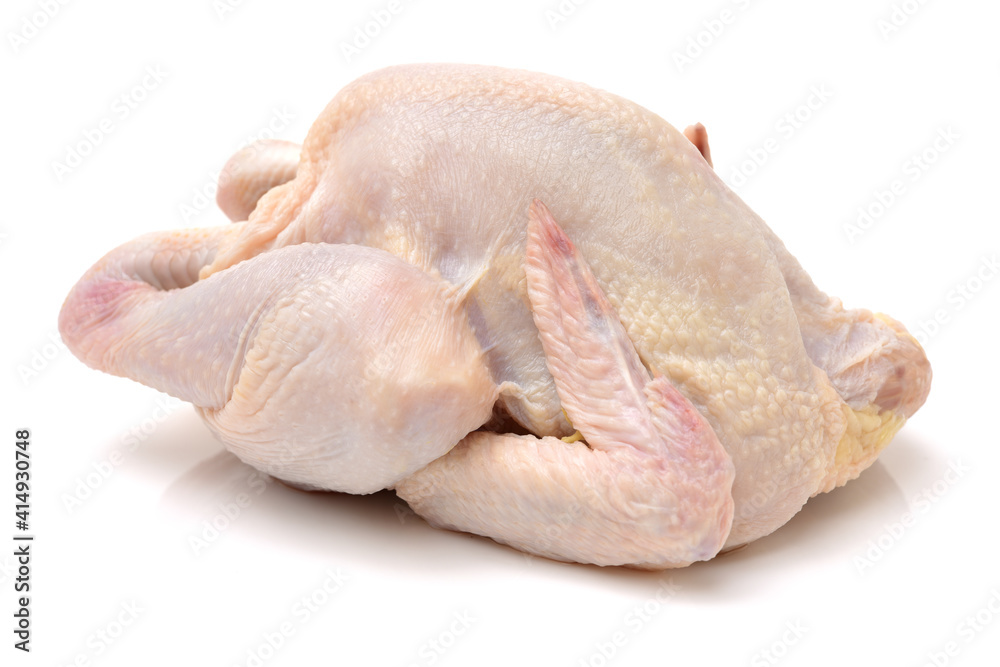 raw hen on a white background raw hen on a white background
