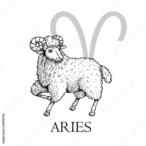 Hand drawn Aries. Zodiac symbol in vintage gravure or sketch style. Ram or mouflon animal standing and smiling. Retro astrology constellation drawing.