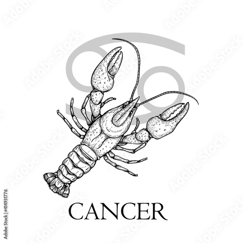 Hand drawn Cancer. Zodiac symbol in vintage gravure or sketch style. cancer or lobster. Retro astrology constellation drawing. Mysterious illustration isolated on white.