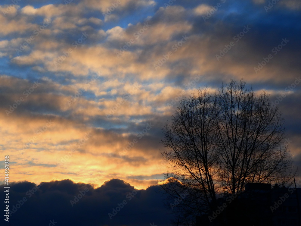 Colorful cloudy sky and trees at sunset in the city