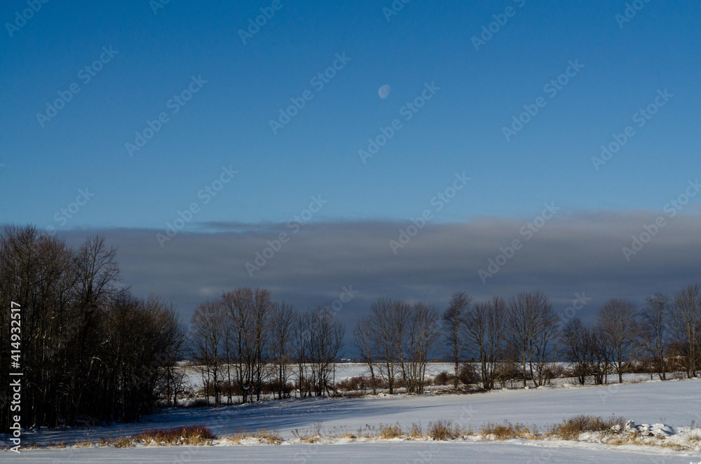 Country scene in Maine snow covered fields with trees line and clouds in distance and moon about all. Country scene in Maine snow covered fields with trees line and clouds in distance and moon about all.