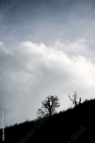 Landscape in Spanish Pyrenees