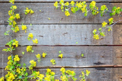 Wood Sign With a Yellow Flowers Background
