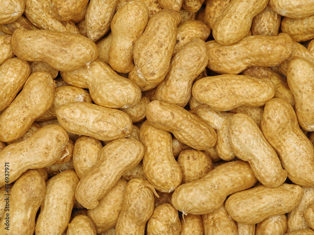 The Closeup of boil peanut thai style on white background The Closeup of boil peanut thai style on white background