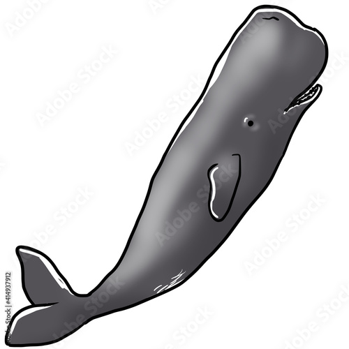 Simple and realistic sperm whale illustration design photo