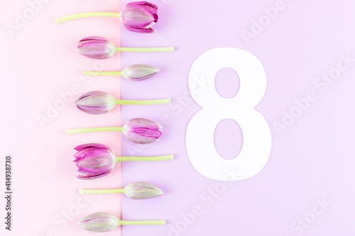 Frame border made of tulips on two tone pink and purple background. Minimal design greeting card. Women's day concept. Flat lay. Copy space.
