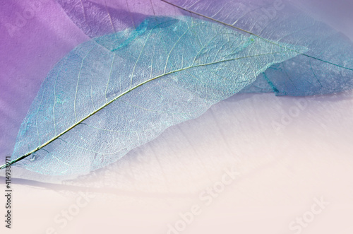 Transparent blue leaves on a light background.