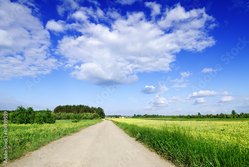 Road among green fields