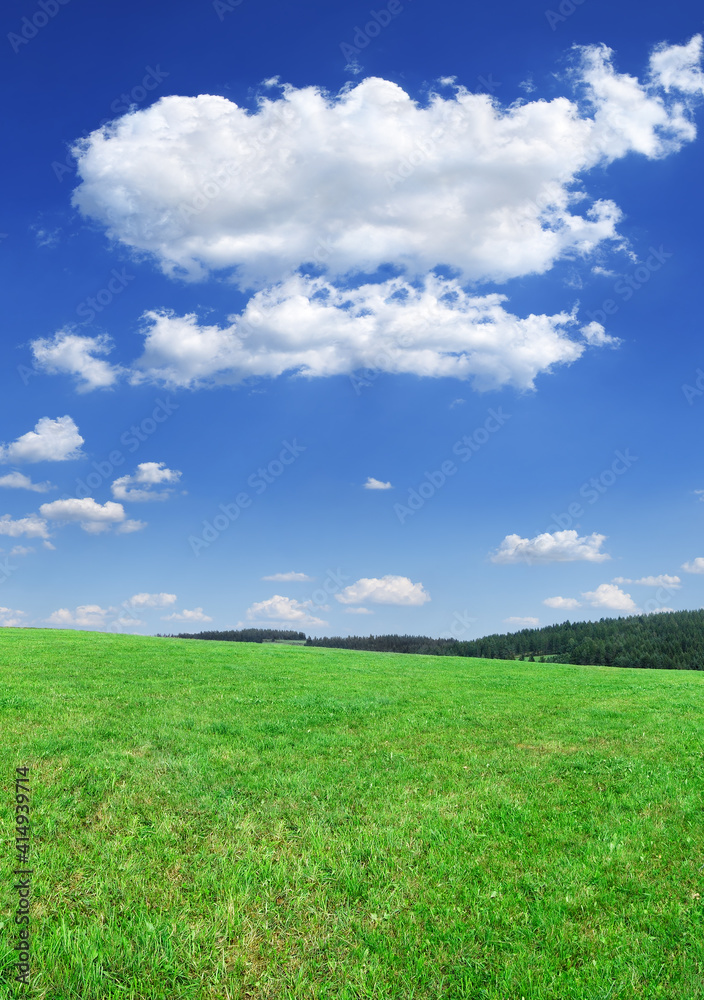 Idyllic view, green field and blue sky with white clouds Idyllic view, green field and blue sky with white clouds