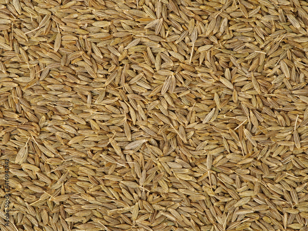 Cumin seeds texture, full frame background. Second most popular spice in the world after black pepper. Cumin seeds texture, full frame background. Second most popular spice in the world after black pepper.